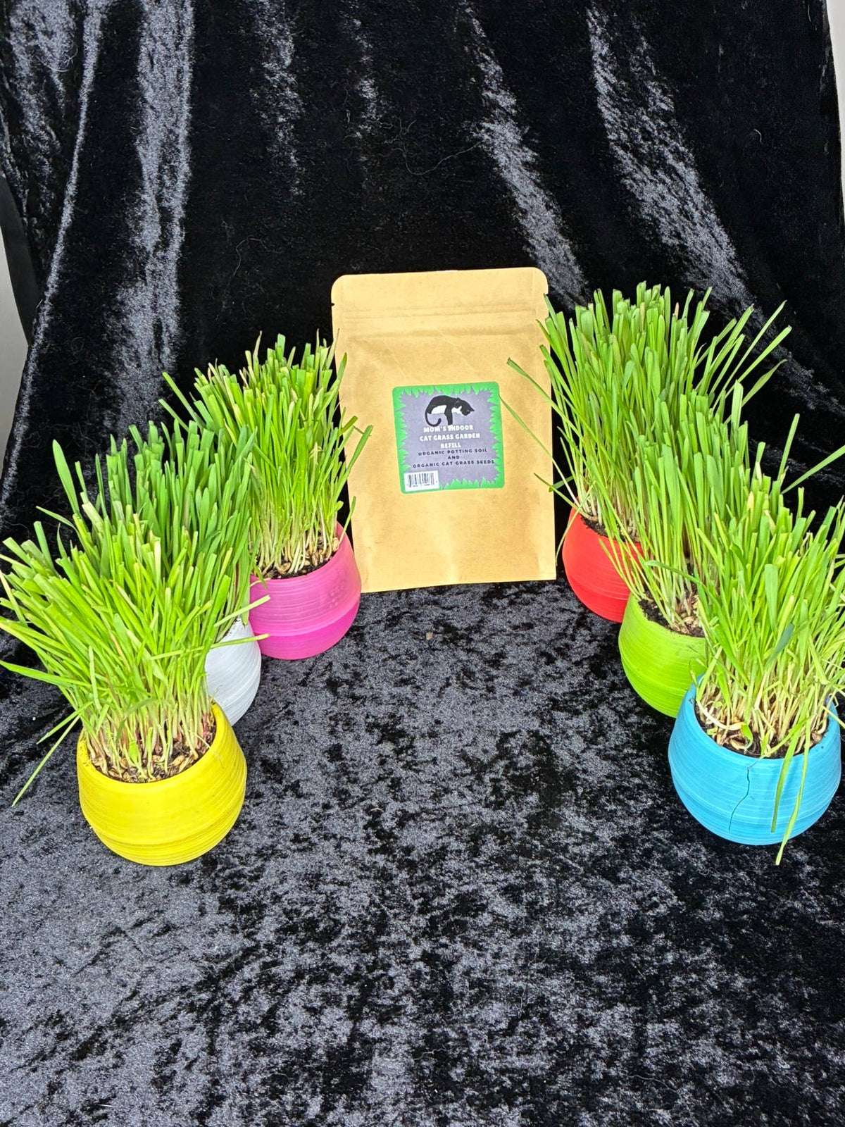 Cat Grass garden ball refill pack