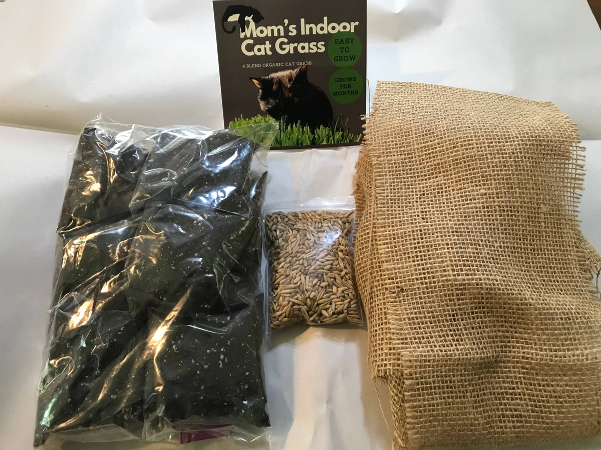 Cat Grass Tray Refill Pack w/ organic seeds and soil