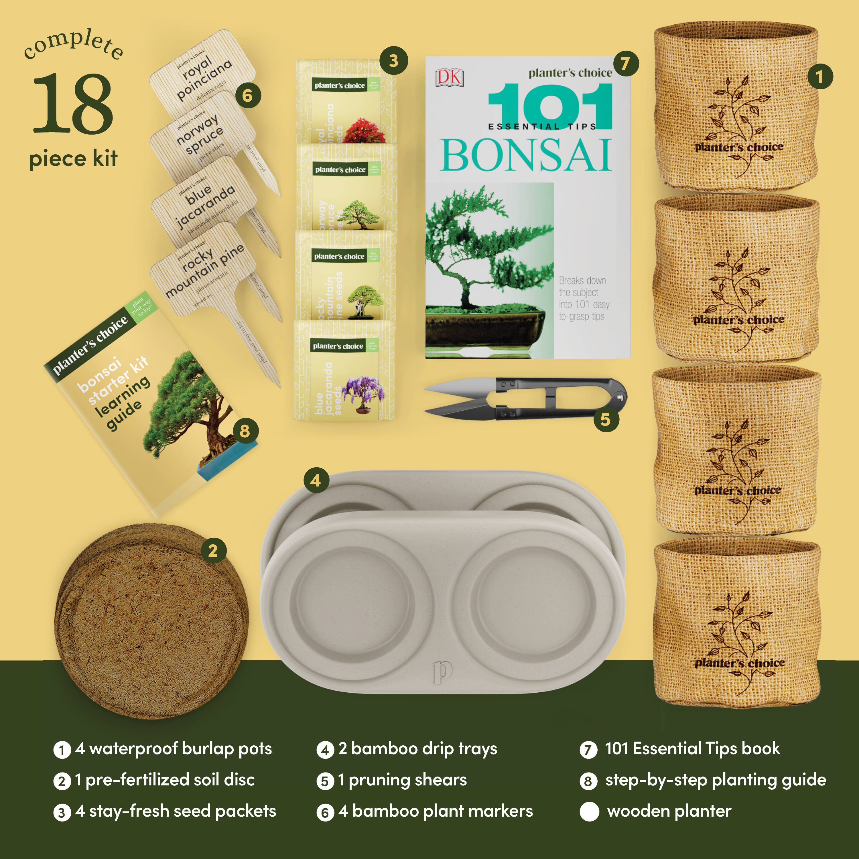 盆栽12 Bonsai Growing Kit – Plantify
