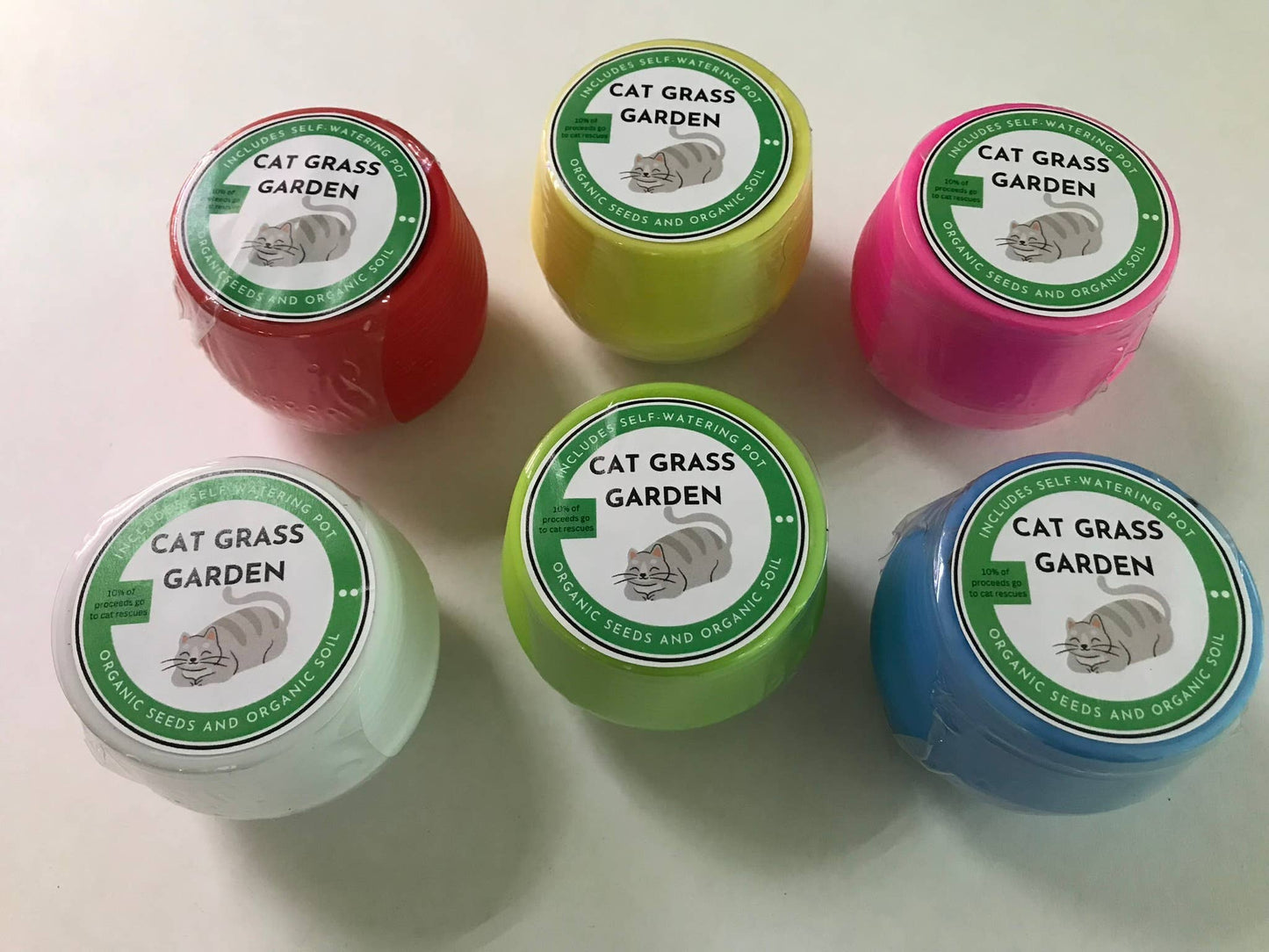 Cat Grass Gardens