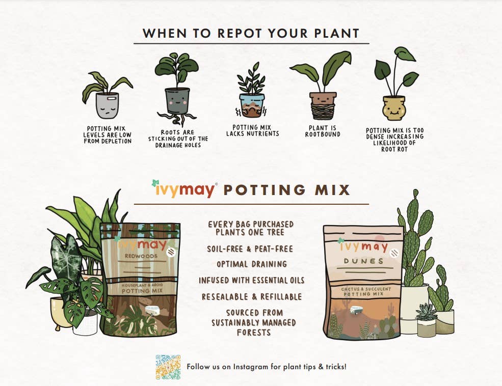 Bulk Soil- Premium Houseplant & Aroid Potting Mix : 5 Gallons