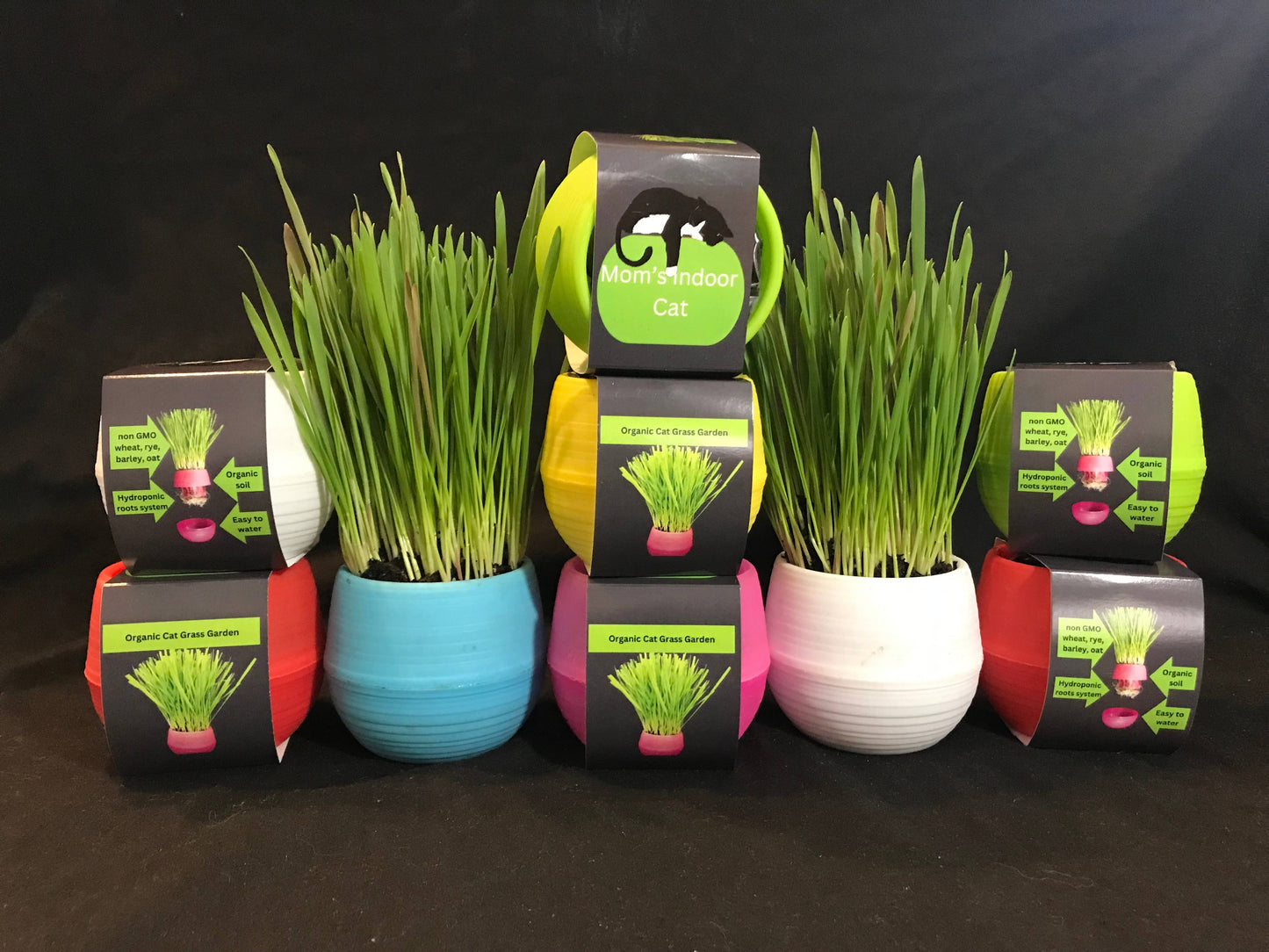 Cat Grass Ball: Pink