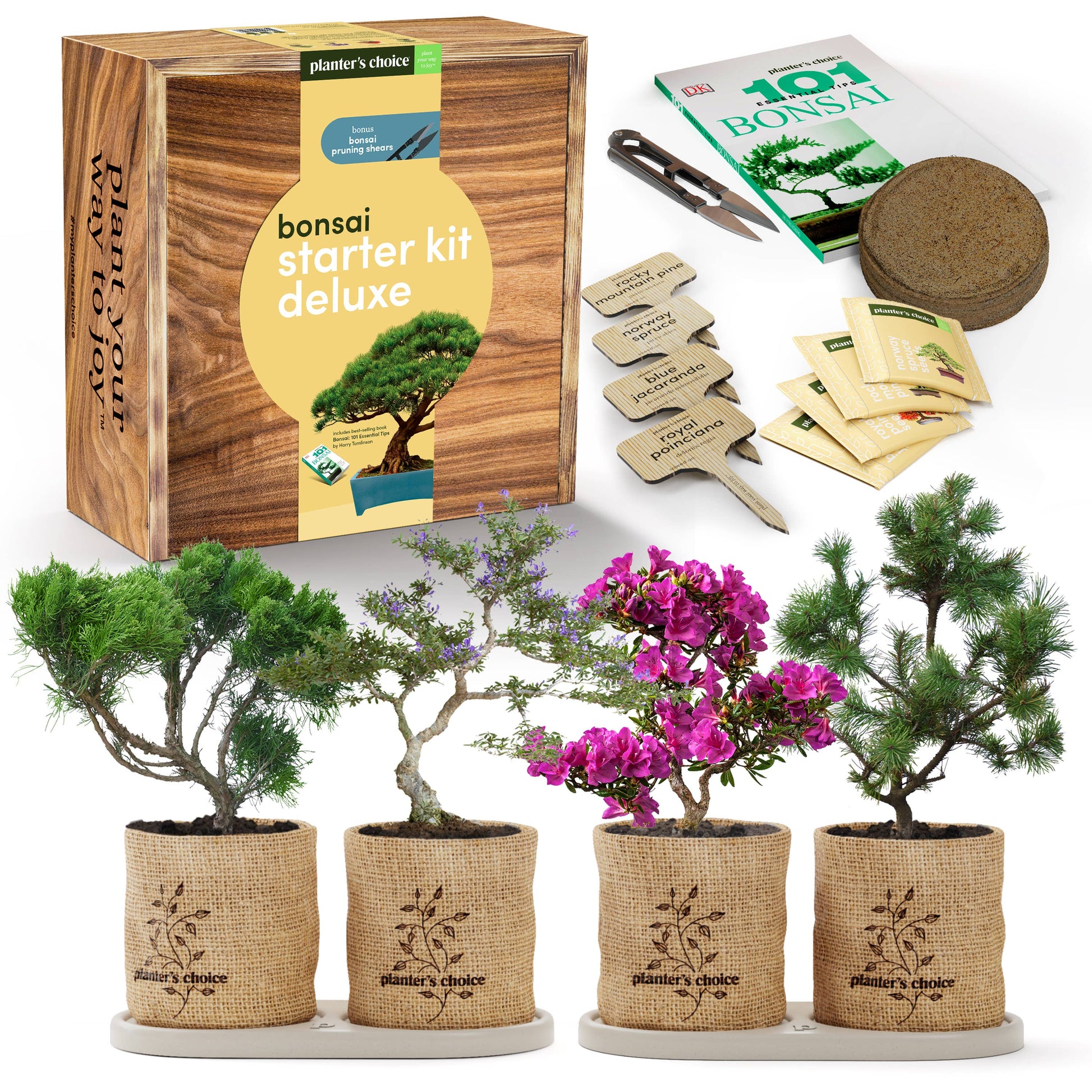 meakear bonsai tree growing kit Bonsai Growing Kit – Plantify