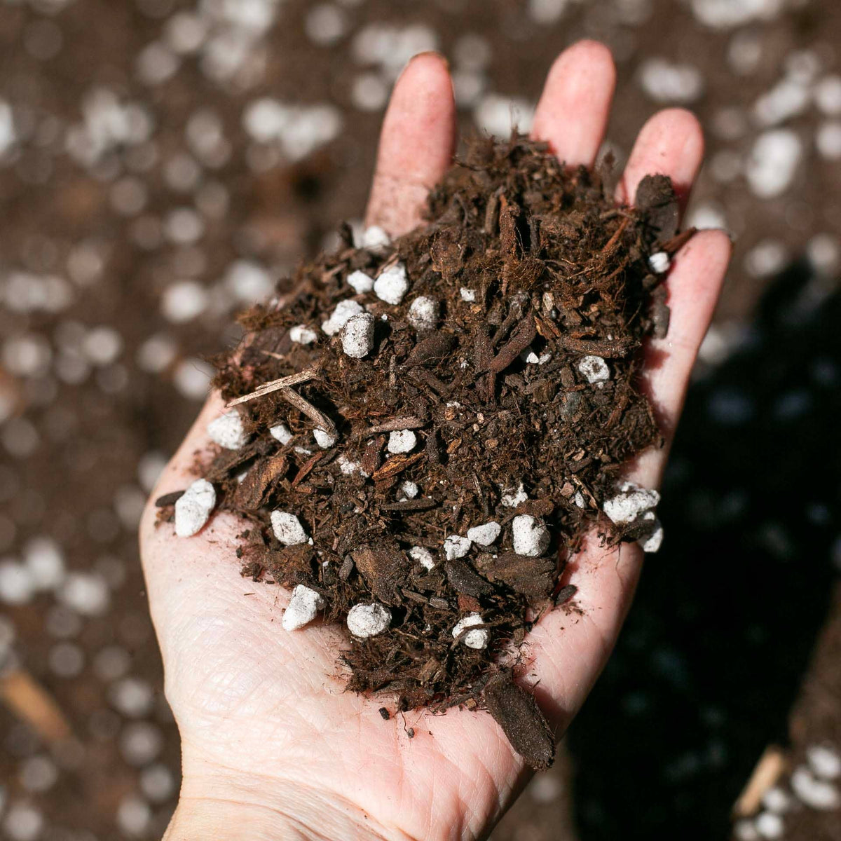 Bulk Soil- Premium Houseplant & Aroid Potting Mix : 5 Gallons