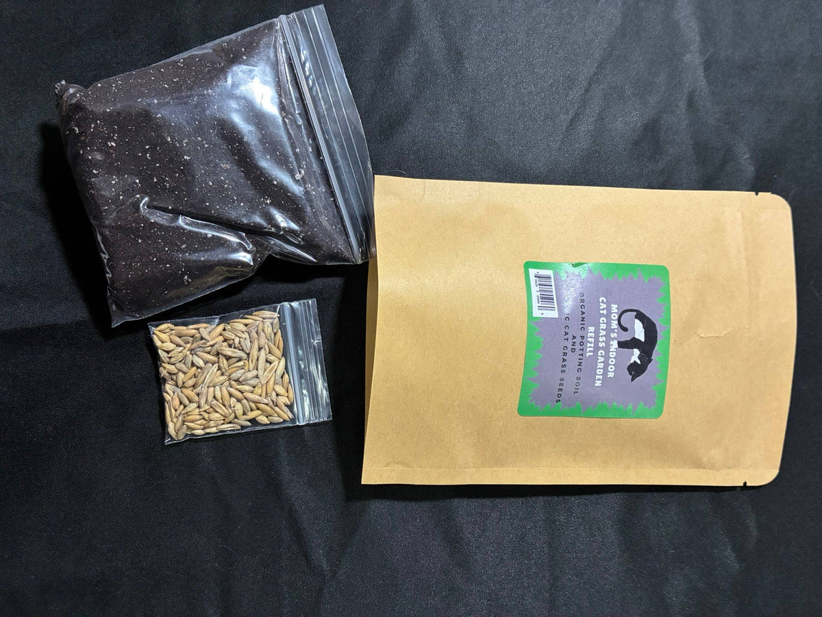 Cat Grass garden ball refill pack