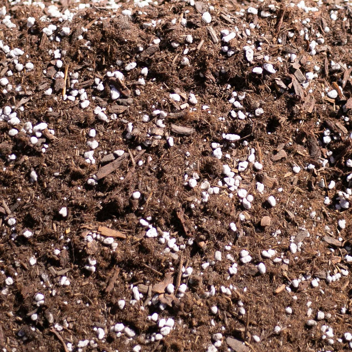 Bulk Soil- Premium Houseplant & Aroid Potting Mix : 5 Gallons