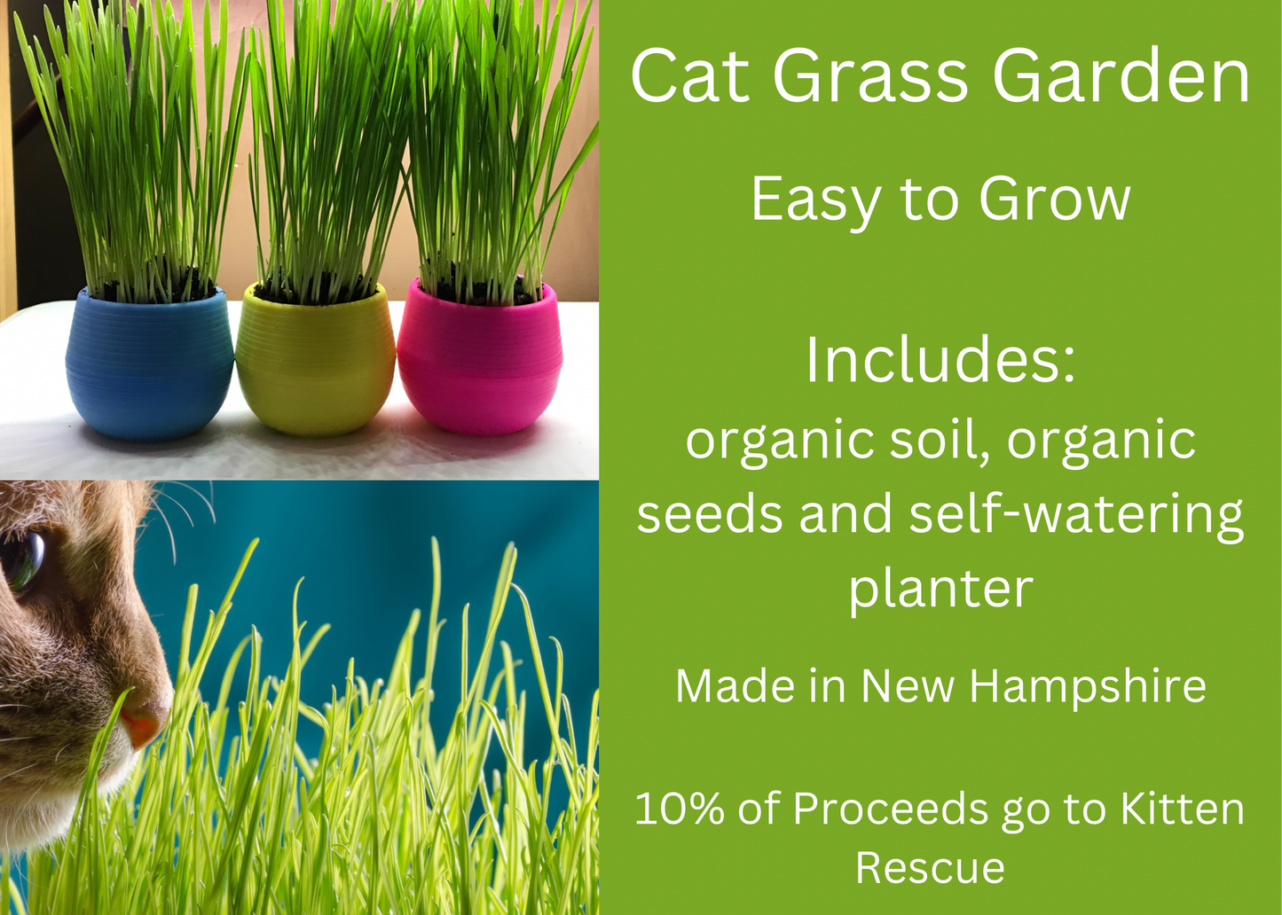 Cat Grass Gardens